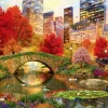 Bluebird Puzzle Central Park à New York- puzzle de 1000 pièces