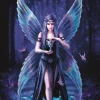 Bluebird Puzzle Enchantment - puzzle de 1000 pièces