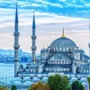 Bluebird Puzzle La Mosquée bleue - puzzle de 1000 pièces