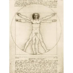 Bluebird Puzzle Leonardo Da Vinci - The Vitruvian Man, 1490 - 1000 pièces