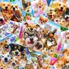 Bluebird Puzzle Selfie Pet Collage - puzzle de 260 pièces