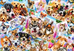 Bluebird Puzzle Selfie Pet Collage - puzzle de 260 pièces
