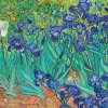 Bluebird Puzzle Vincent Van Gogh - Les Iris - puzzle de 3000 pièces