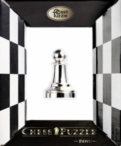 Cast Puzzle Pion Argent - Pièce d'échecs - Casse-tête de Cast