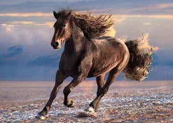Clementoni Cheval sauvage - puzzle de 1000 pièces