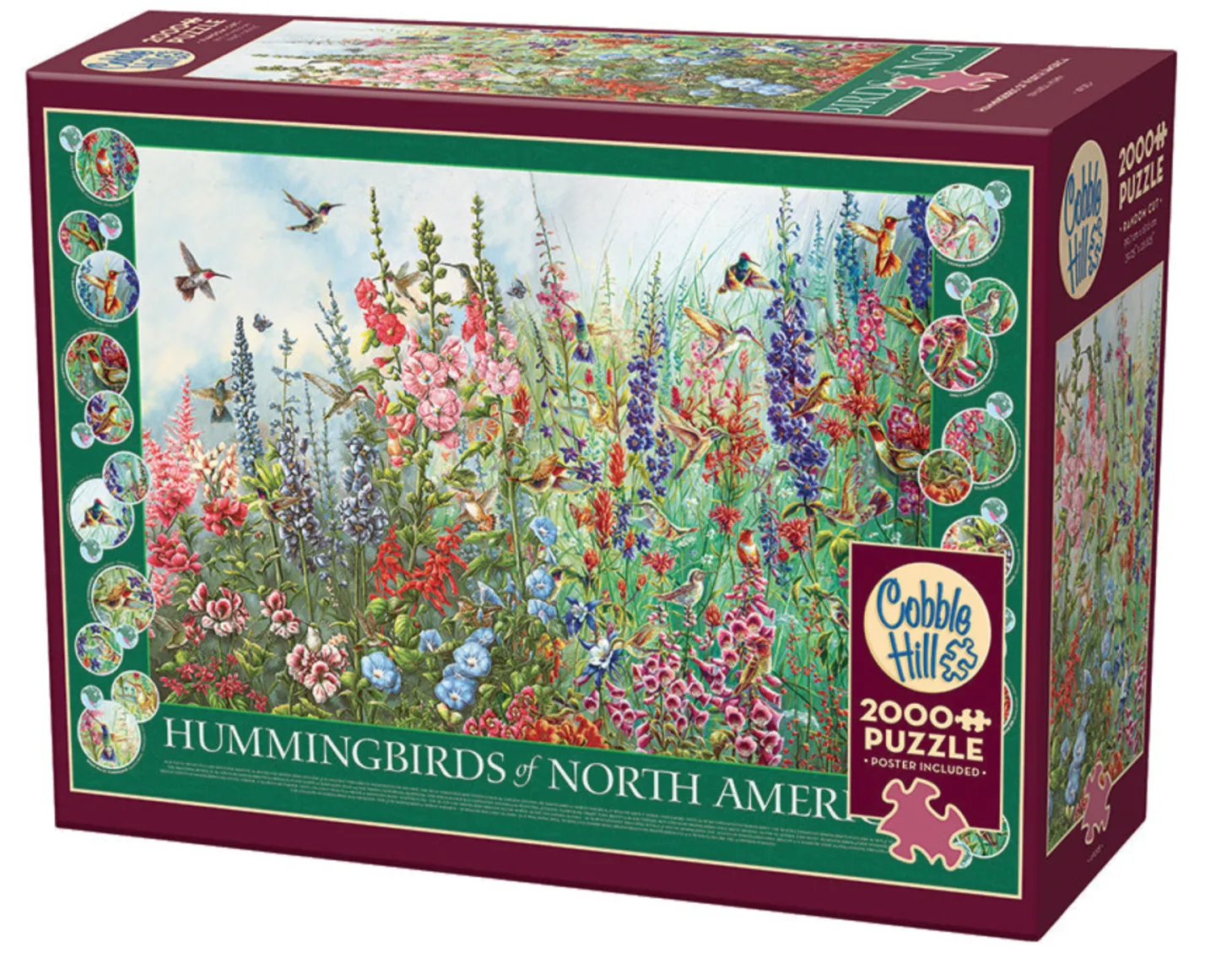 Cobble Hill Colibris d'Amérique du Nord - puzzle de 2000 pièces