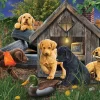 Cobble Hill Dans la Niche du Chien - puzzle de 1000 pièces