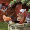 Cobble Hill Les poulets vont bien - puzzle de 275 pièces XXL