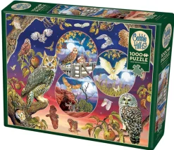 Cobble Hill Magie du hibou - puzzle de 1000 pièces