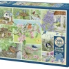 Cobble Hill Oiseaux de jardin au Printemps - puzzle de 500 pièces XL