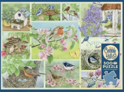 Cobble Hill Oiseaux de jardin au Printemps - puzzle de 500 pièces XL