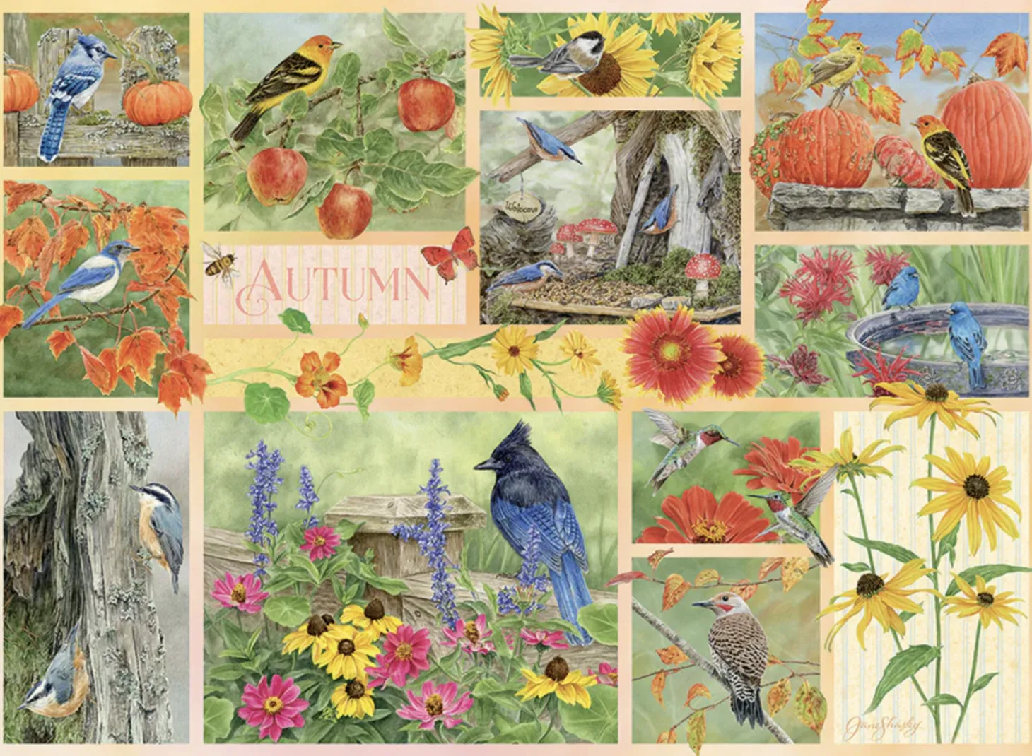 Cobble Hill Oiseaux de jardin au Automne - puzzle de 500 pièces XL