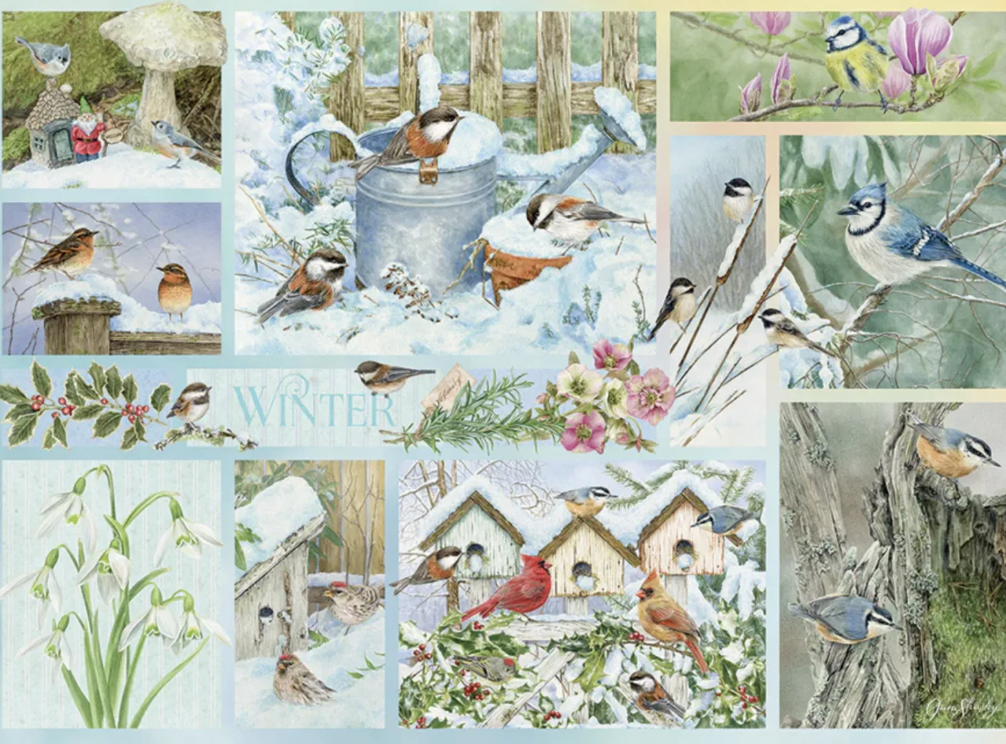Cobble Hill Oiseaux de jardin en Hiver - puzzle de 500 pièces XL