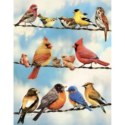 Cobble Hill Oiseaux sur le fil - puzzle de 500 pièces XL