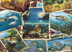 Cobble Hill Tous les poissons - puzzle de 1000 pièces