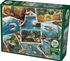 Cobble Hill Tous les poissons - puzzle de 1000 pièces