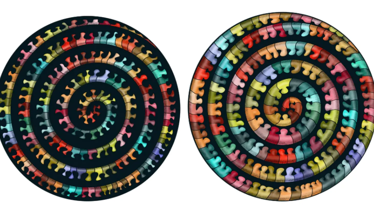 Curiosi Millepedes - Puzzle Double-face Ronde en Bois - 324 pièces