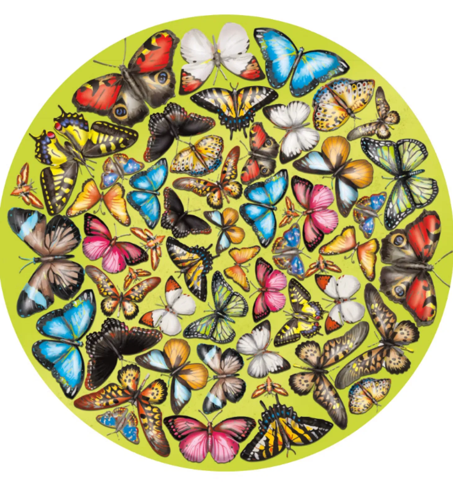 Curiosi Papillon - Puzzle Double-face Ronde en Bois - 424 pièces