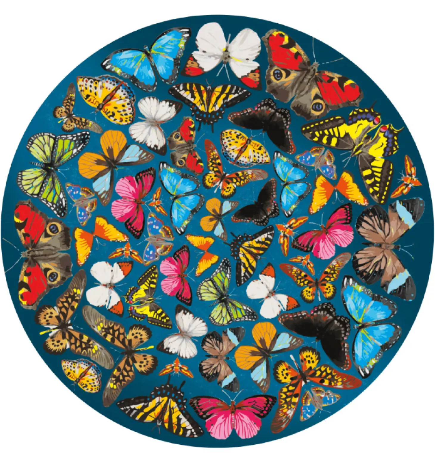 Curiosi Papillon - Puzzle Double-face Ronde en Bois - 424 pièces