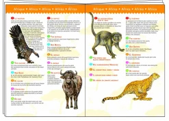 Djeco Dinosaures - puzzle de 100 pièces