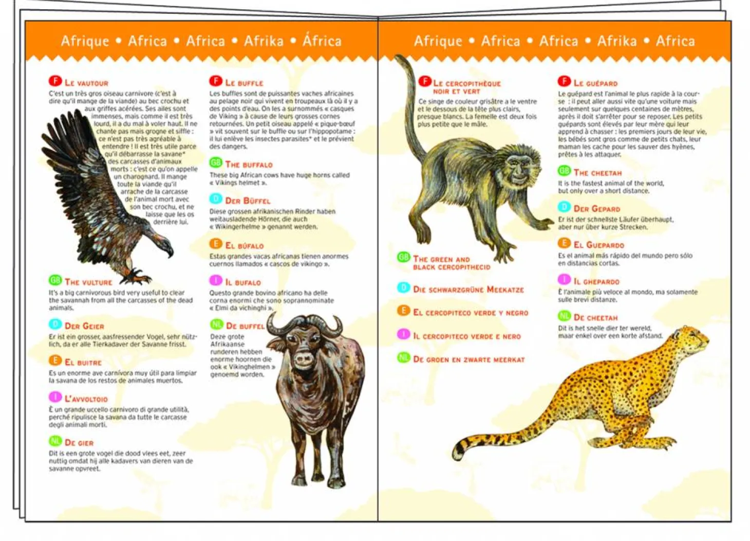 Djeco Dinosaures - puzzle de 100 pièces