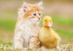 Educa Adorables amis - puzzle de 500 pièces