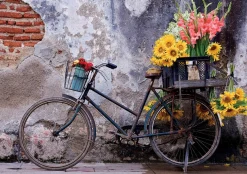 Educa Bicyclette avec des fleurs - puzzle de 500 pièces