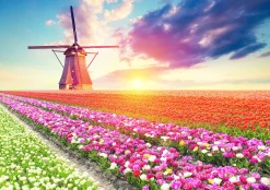 Educa Champs de tulipes - puzzle de 1500 pièces