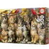 Educa Chatons et Oiseaux - puzzle de 500 pièces