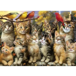 Educa Chatons et Oiseaux - puzzle de 500 pièces