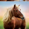 Educa Cheval au lever du soleil - puzzle de 500 pièces