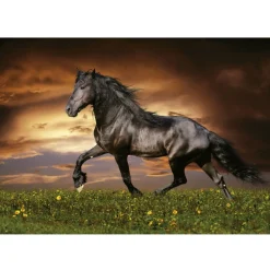 Educa Cheval au trot - puzzle de 1000 pièces