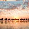 Educa Crépuscule à Australie - 1000 pièces