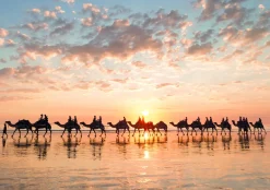 Educa Crépuscule à Australie - 1000 pièces