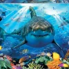 Educa Grand Requin Blanc - puzzle de 500 pièces