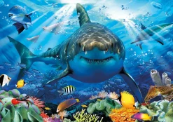 Educa Grand Requin Blanc - puzzle de 500 pièces