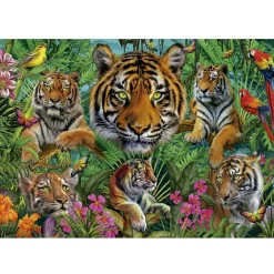 Educa Jungle des tigres - puzzle de 500 pièces