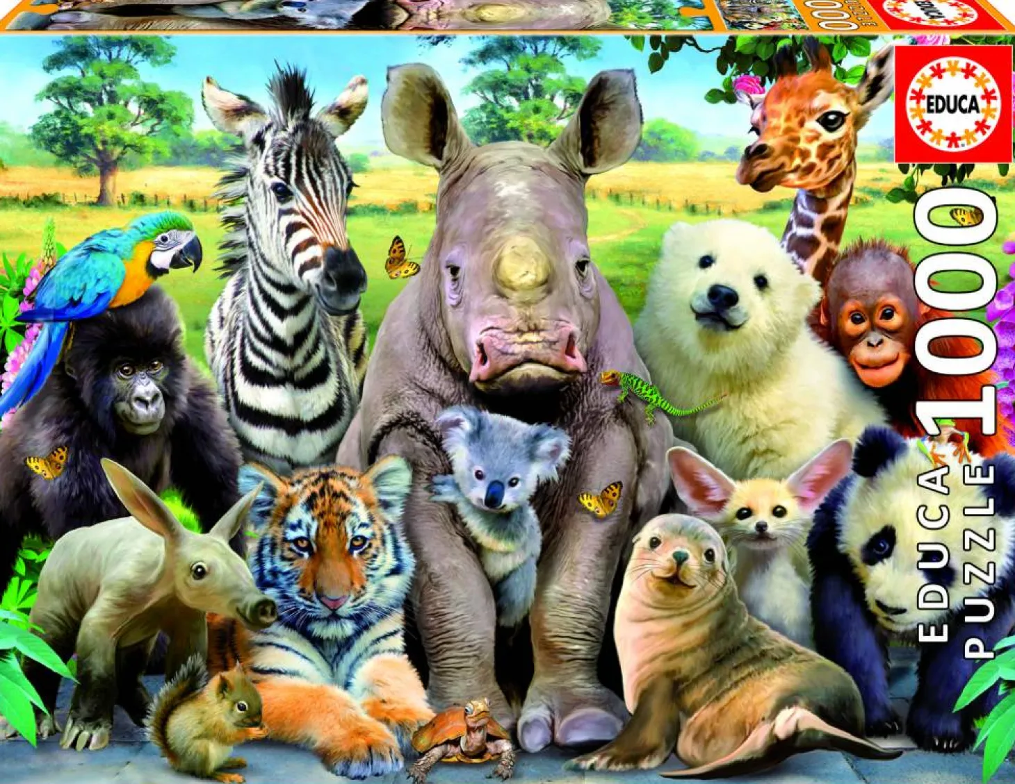 Educa La photo de la classe - puzzle de 1000 pièces
