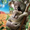 Educa Le Koala et son petit - puzzle de 500 pièces