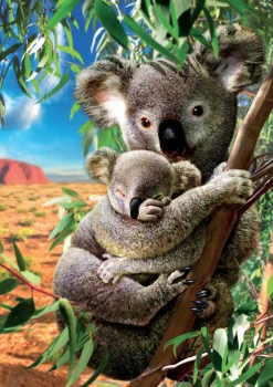 Educa Le Koala et son petit - puzzle de 500 pièces