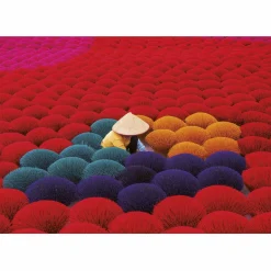 Educa Le village de l'encens au Vietnam - puzzle de 1000 pièces
