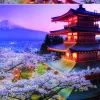Educa Le volcan Fuji au Japon - puzzle 2000 pièces