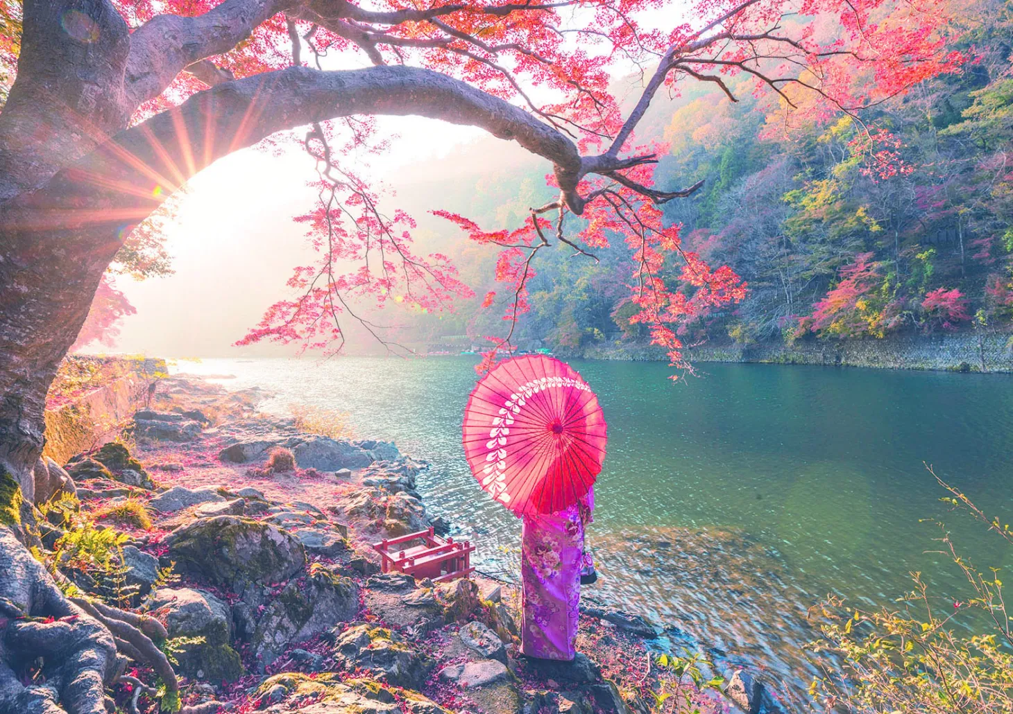 Educa Lever de soleil à Japon - 1000 pièces