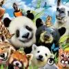 Educa Llama Drama Selfie - puzzle de 1000 pièces