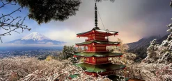 Educa Mont Fuji et Pagode Chureito en Japon - puzzle de 3000 pièces