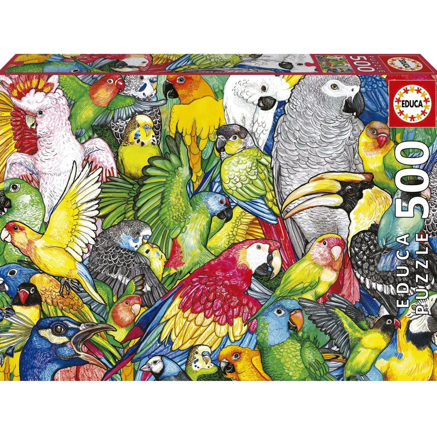 Educa Perroquets - puzzle de 500 pièces