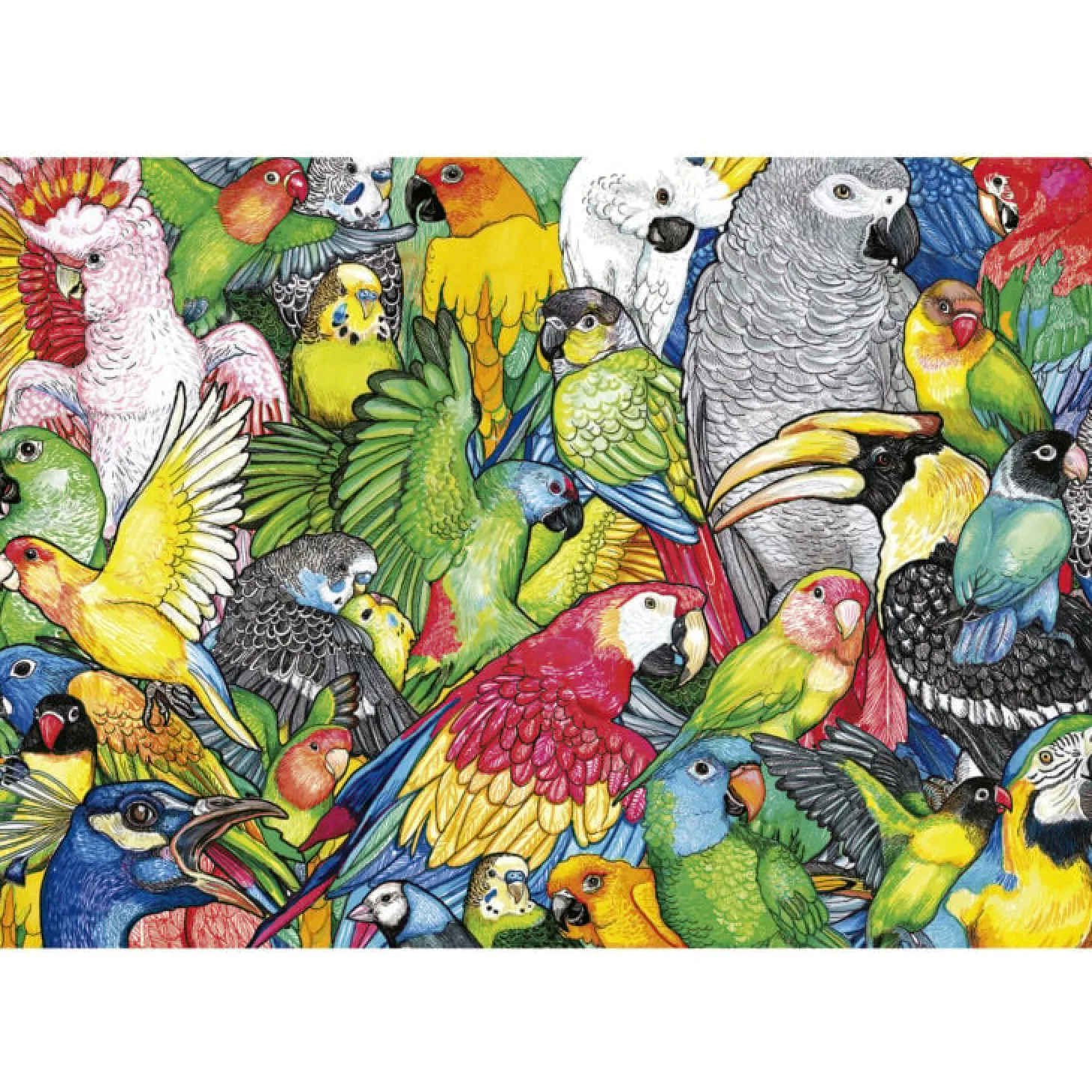 Educa Perroquets - puzzle de 500 pièces