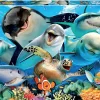 Educa Selfie sous l'eau - puzzle de 100 pièces
