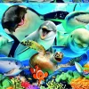 Educa Selfie sous l'eau - puzzle de 500 pièces