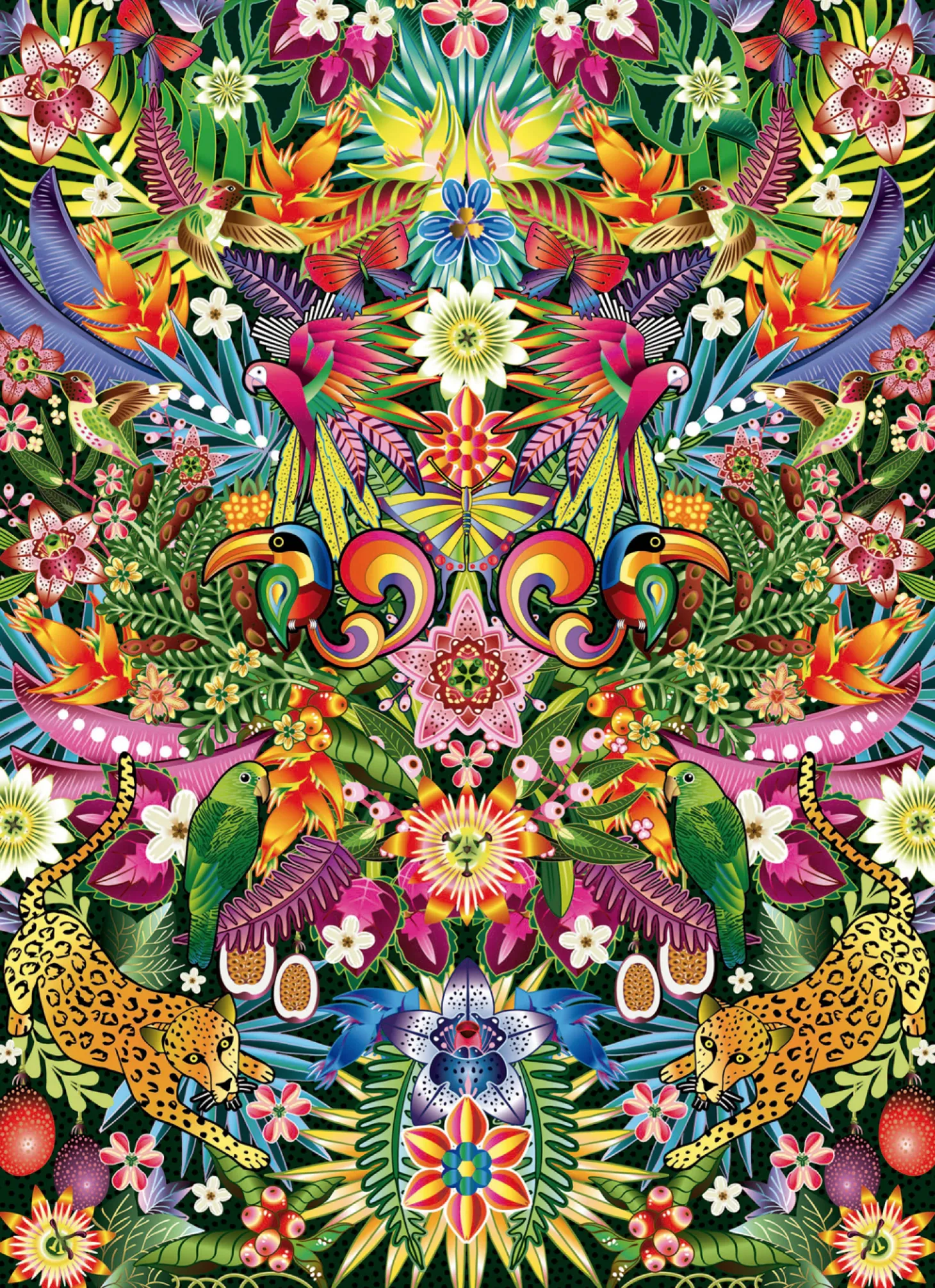 Educa Toucans - puzzle de 1000 pièces
